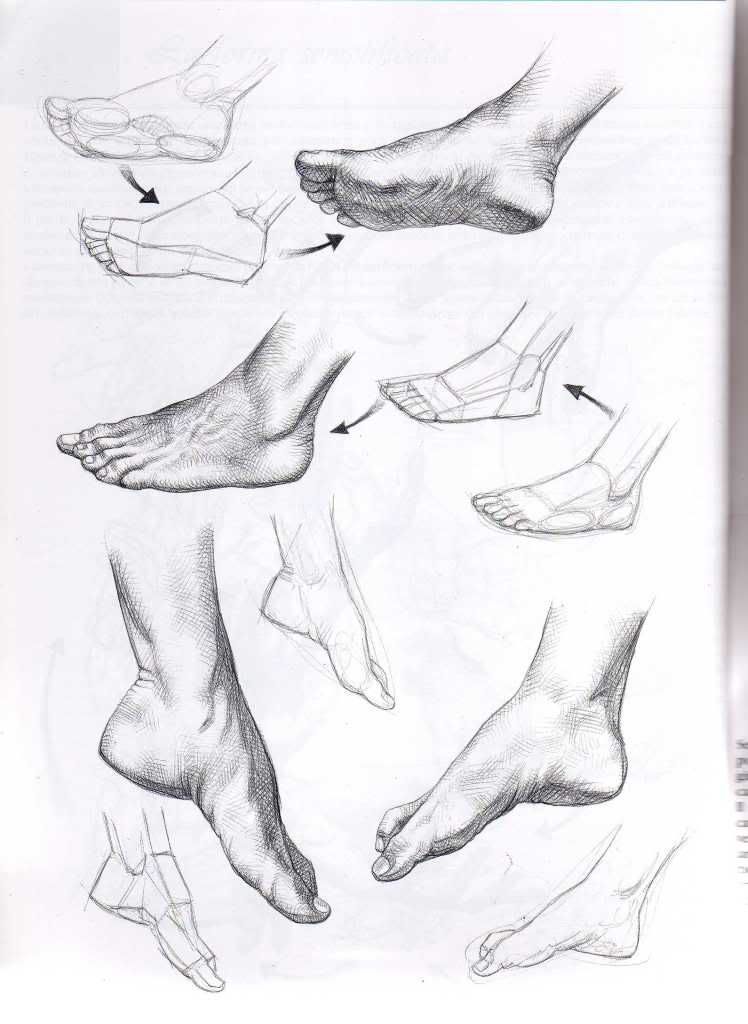 drawing hands and feet giovanni civardi pdf